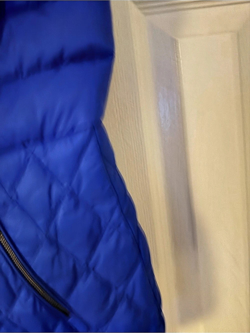 Talbots in Blue - Picture 6 of 6